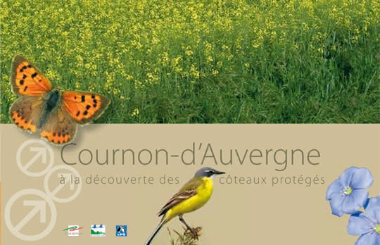 Cournon-d'Auvergne : À la découverte des coteaux protégés