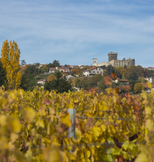 Châteaugay