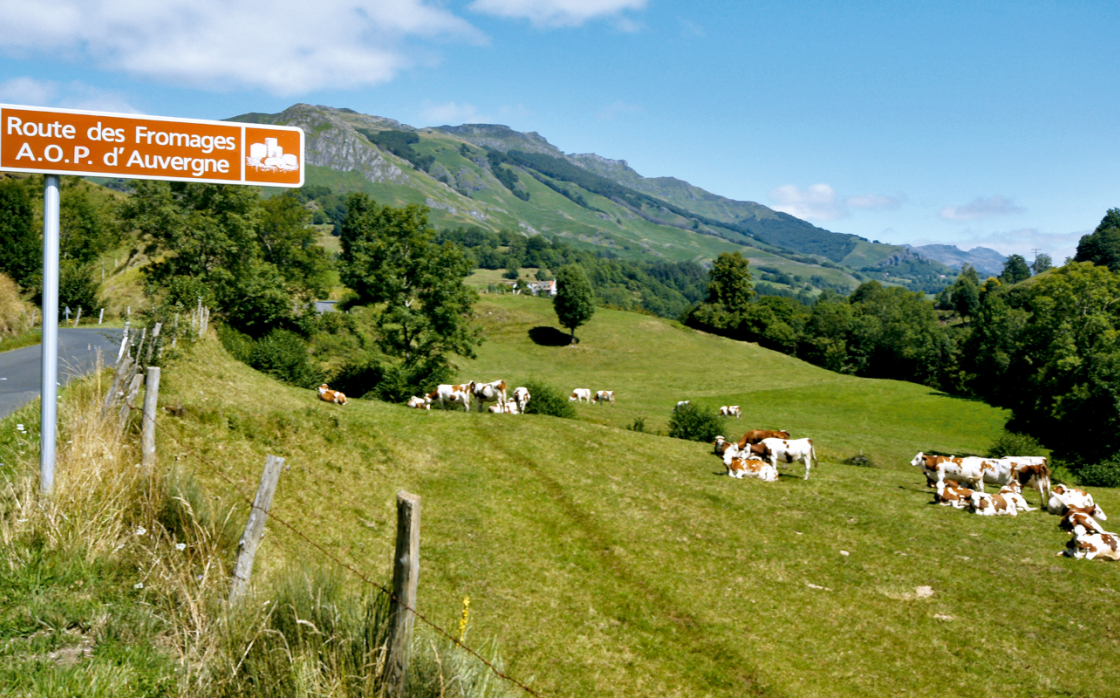 © Route des fromages AOP