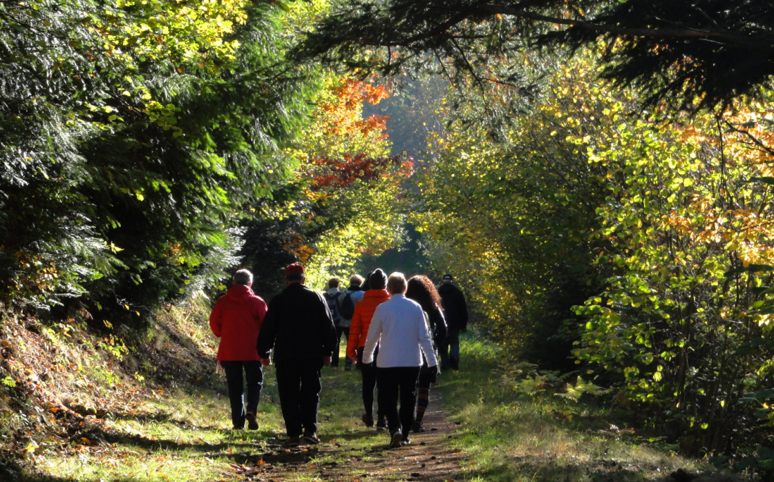 © Balades commentées à petit pas dans la forêt du Colombier | Journées Européennes du Patrimoine 2024