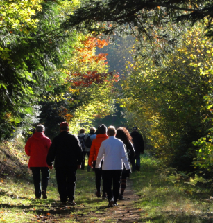 Balades commentées à petit pas dans la forêt du Colombier | Journées Européennes du Patrimoine 2024