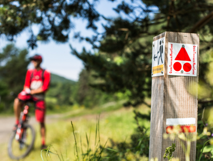 Sur la GTMC-VTT / Puy-de-Dôme