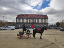 Association calèches et patrimoine