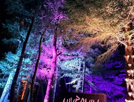 Auvèrnha : Parcours nocturne conté, son et lumières | La forêt des Arboris