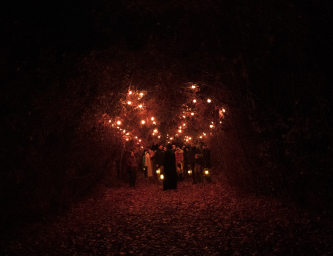 Auvèrnha : Parcours nocturne conté, son et lumières | La forêt des Arboris