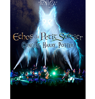 Échos du petit sorcier : concert Harry Potter | Maison de la Culture