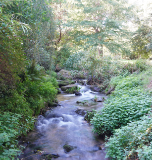 Balade animation sur la Tiretaine,  les sources et l’histoire des droits d’eau | Journées Européennes du Patrimoine 2024