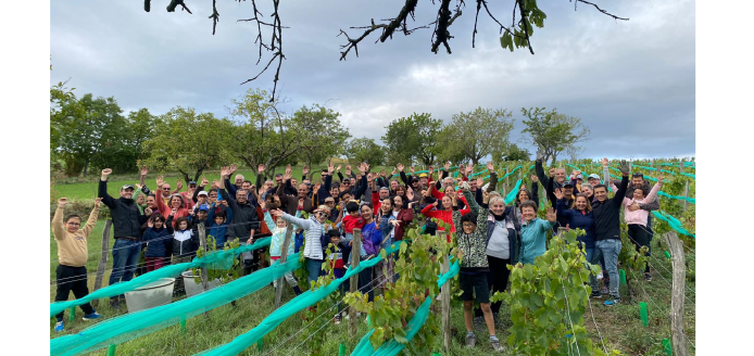 Visite de la parcelle des vignes