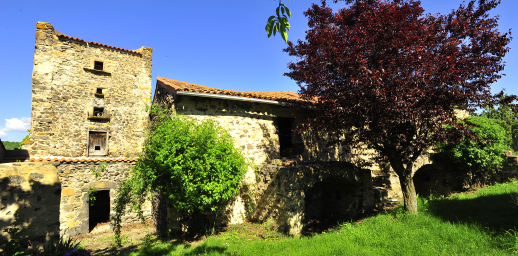 Visite guidée architectures et paysages de la vigne