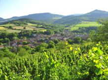 Visite guidée architectures et paysages de la vigne