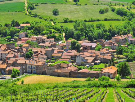 Visite guidée architectures et paysages de la vigne