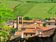 Visite guidée architectures et paysages de la vigne