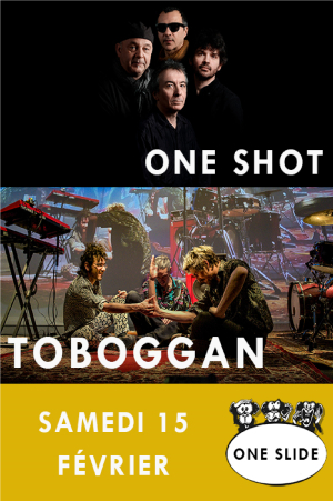 Toboggan et One Shot | La Baie des Singes