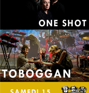Toboggan et One Shot | La Baie des Singes