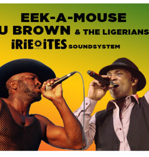 Eek-a-Mouse – U Brown et The Ligerians Warm-Up by Irie Ites Soundsystem | La Coopérative de Mai