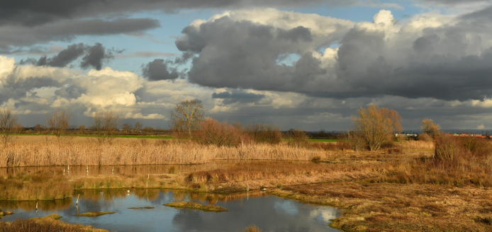 Le Temps de la Migration au Marais de Lambre !