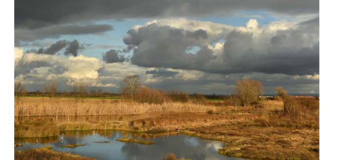 Le Temps de la Migration au Marais de Lambre !