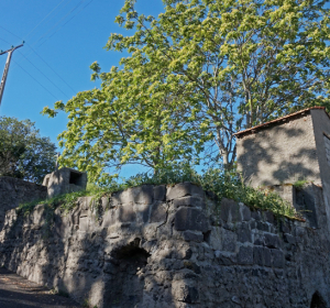 Visite guidée d'Aubière, bourg vigneron