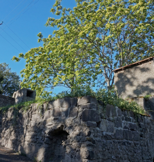 Visite guidée d'Aubière, bourg vigneron