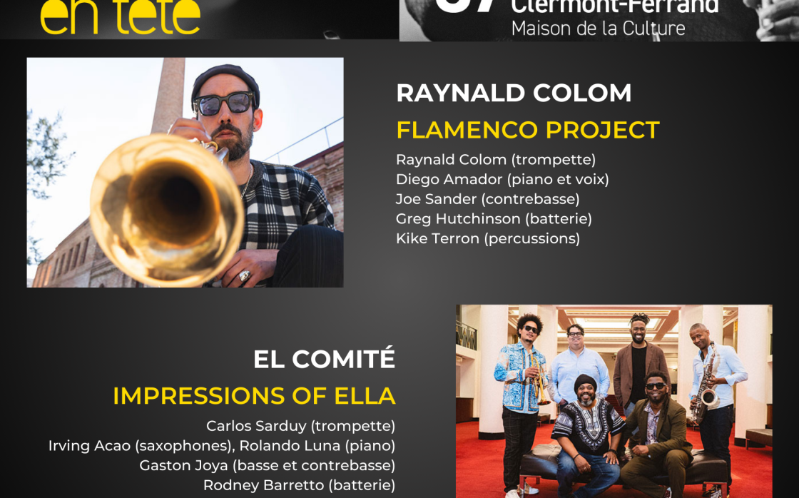 © Raynald Colom Flamenco Project avec Diego Amador ! + El Comité | Jazz en Tête