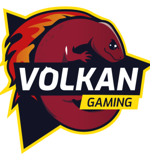 Festival Connexions 2024 - Tournoi de Jeu vidéo sur Mario Kart avec l'association  Volkan Gaming