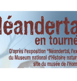 Néandertal, l'Expo