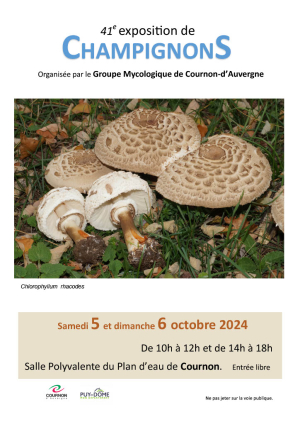 41ème exposition de champignons