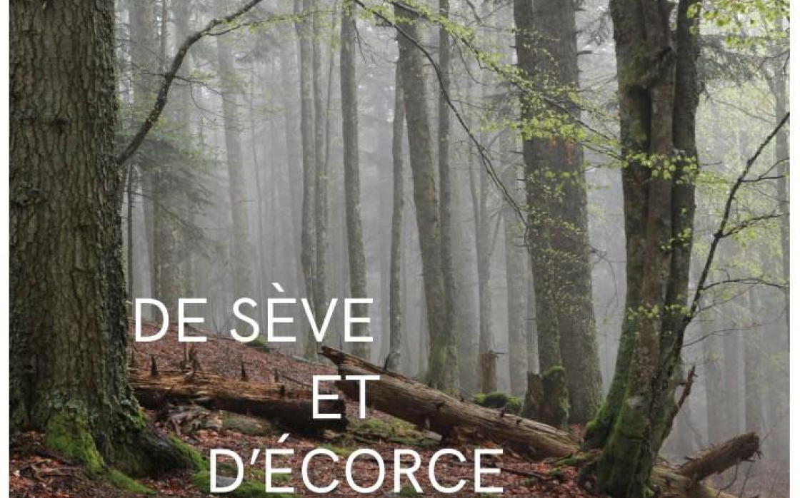 © Exposition 'De sève et d'écorce : éloge des vieilles forêts'