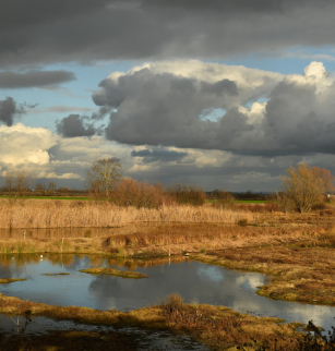 Chantier nature au Marais de Lambre