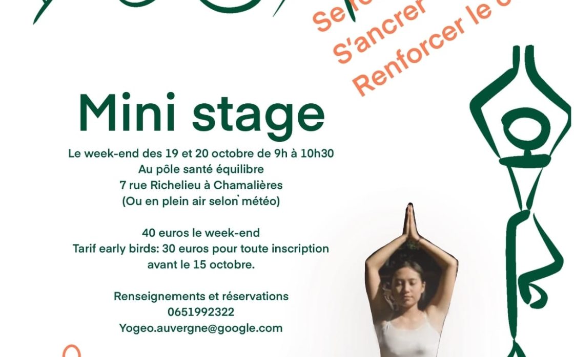 © Mini stage de yoga ados adultes