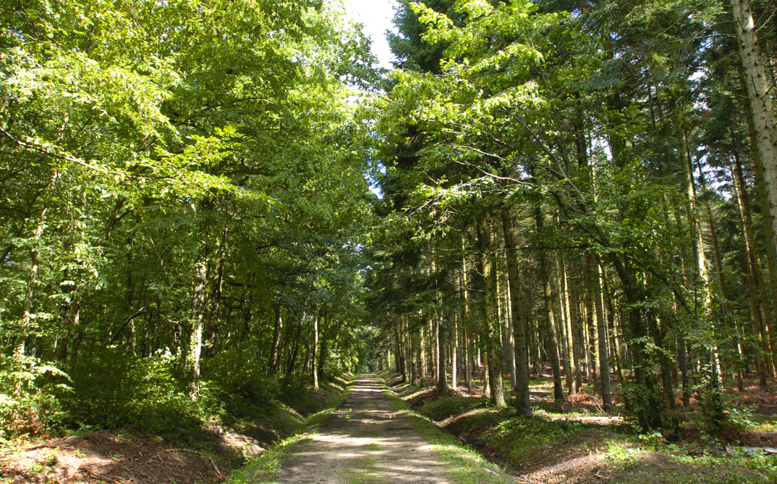 © Circuit VTT n°27 – Tour de la Comté