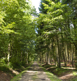 Circuit VTT n°27 – Tour de la Comté