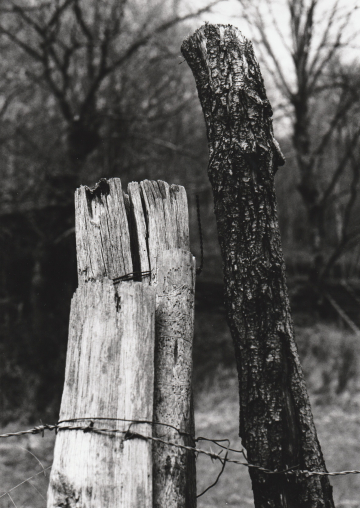 © Exposition : photo argentique en noir et blanc sur le thème des reflets