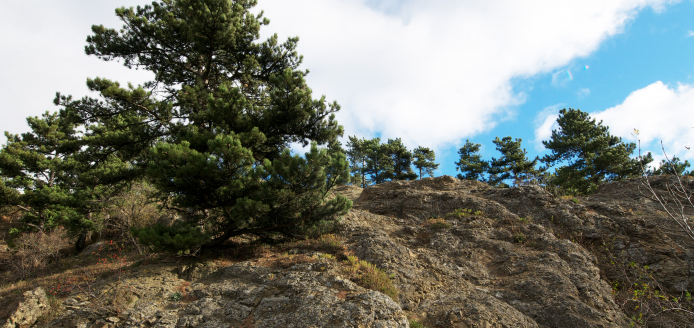 Puy de Marmant