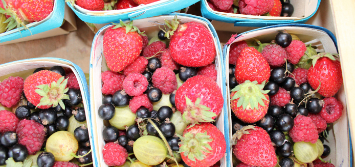 Marché local de Vic le Comte les jeudis matins