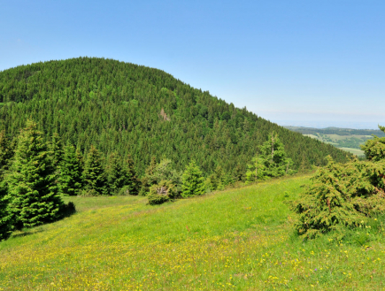 Puy de la vache